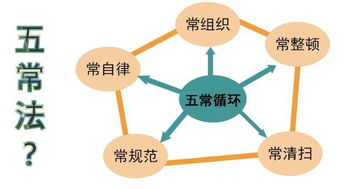 餐飲企業(yè)管理中的 五常法 應該這樣落實