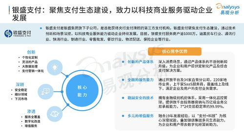 打造第二增長曲線,銀盛支付搶灘數(shù)字化支付新機遇